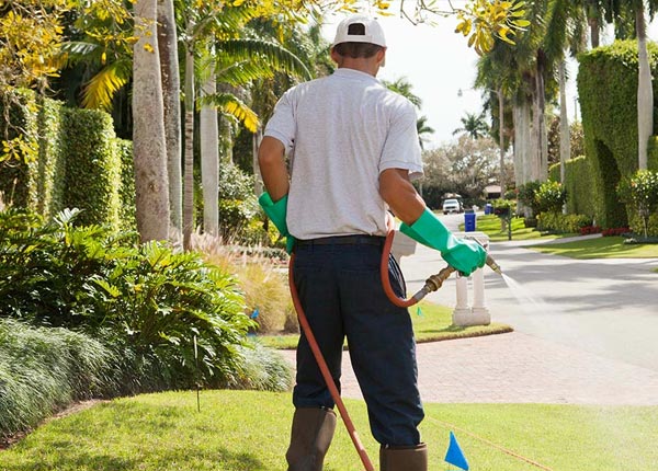 About Mc Sherrystown PA Pest Control